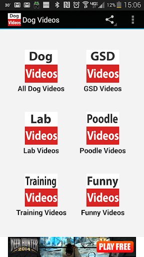Dog Videos