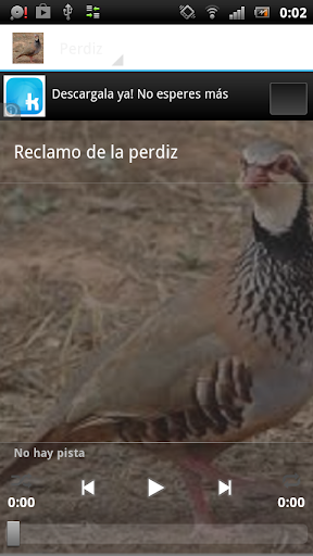 Claim partridge