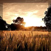 Тема eXPERIAnZ - Sunset