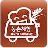 Toast rural experience - Gangwon farming, environmental ecology, traditional games experience Application icon