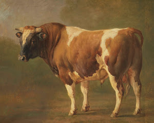 RIJKS: Jacques Raymond Brascassat: Study of a Bull 1867