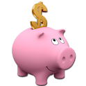 Financial budget logo