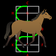 Dressage Pro for horse riders