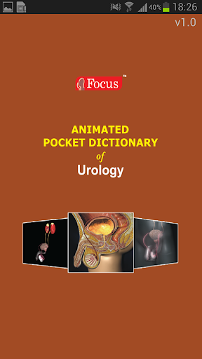Urology - Medical Dictionary