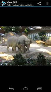 GIF Player(圖2)-速報App