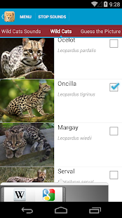 Wild Cats Sounds and Checklist(圖4)-速報App