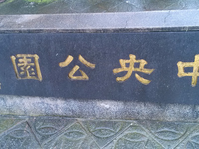 25 ++ 玫瑰中国城 291068