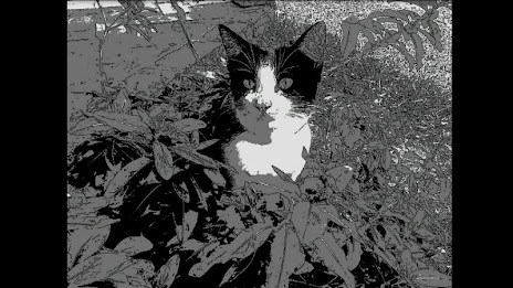 Hand-Drawn Camera FREE poster 3