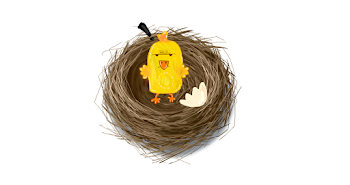 9. What is in the Nest?