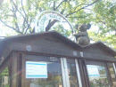 電話ボックスの上のコアラ