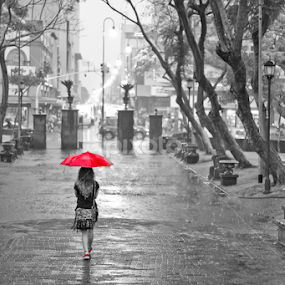 Liquid afternoon by Andro Zeledón - City,  Street & Park Street Scenes