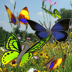 Butterfly animated color LWP!.apk 2.8