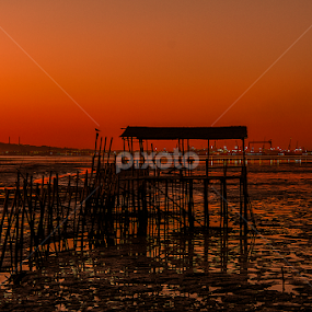 Fading Sunset by António Lopes - Landscapes Sunsets & Sunrises