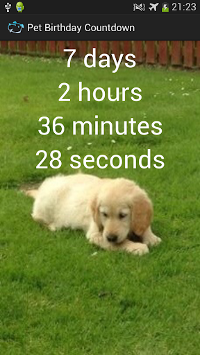 Pet Birthday Countdown