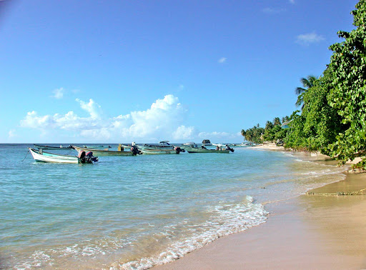 Trinidad-Tobago-beach - A pristine beach on the island of Tobago.