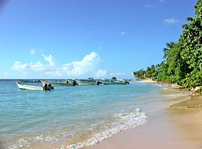 A pristine beach on the island of Tobago.