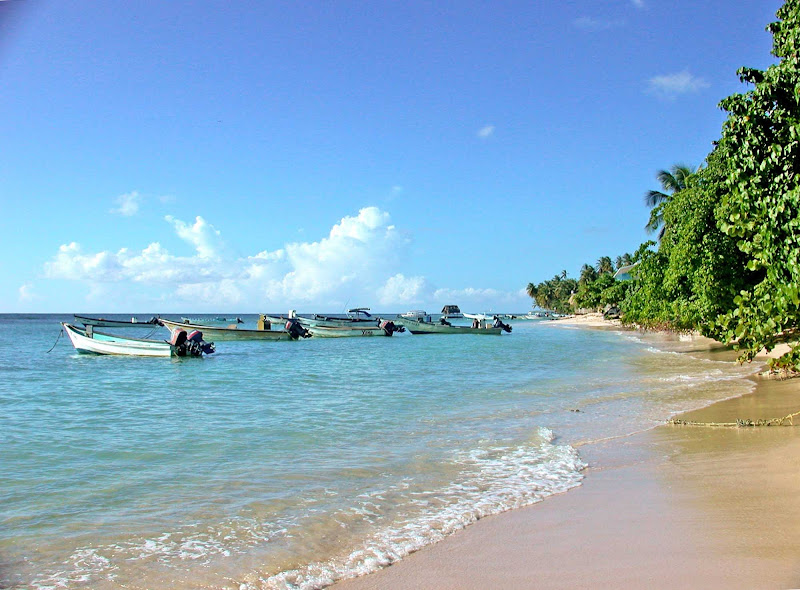 A pristine beach on the island of Tobago.