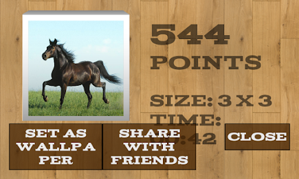 Horses Puzzles poster 4