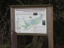 Watergate Forest (South)