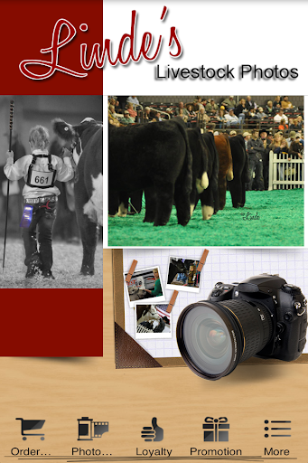 Linde's Livestock Photography