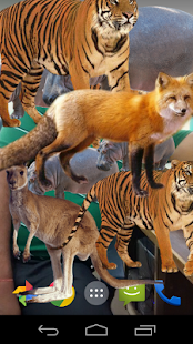 AnimalOnScreen Screenshots 3