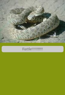Free Rattlesnake Sounds APK for PC