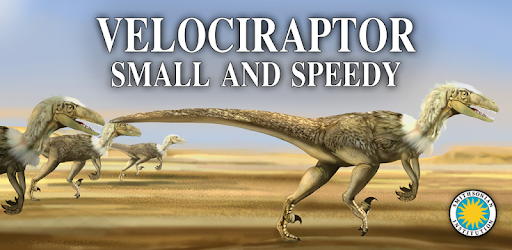 small velociraptor