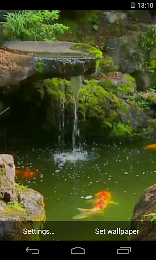 Pond with Koi Live Wallpaper