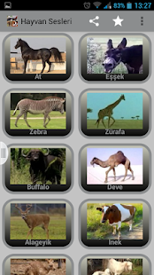 Hayvan Sesleri Screenshots 2