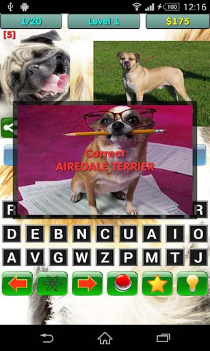 Dog Breed Quiz