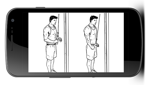 免費下載生活APP|Tricep Workouts app開箱文|APP開箱王