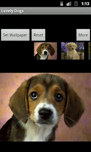 How to install Lovely Dogs 1.0.1 unlimited apk for pc