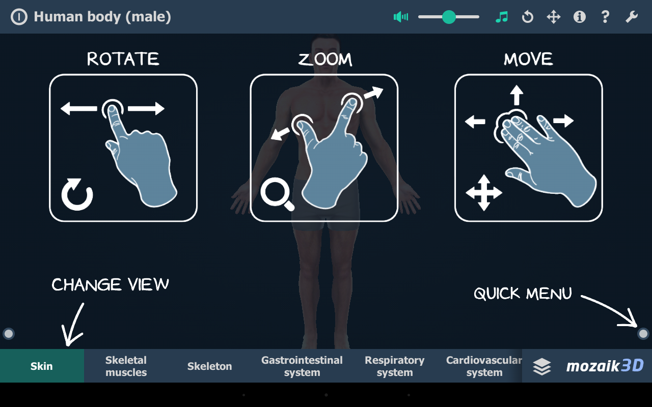 Human body (male) VR 3D - Android Apps on Google Play