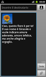 Blumy - Linguaggio dei fiori poster 6