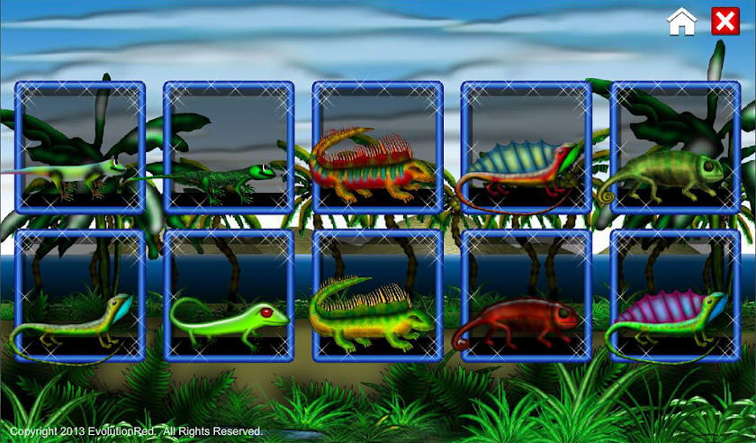 Lizards- Live Puzzles Screen 2