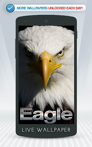 Eagle Live Wallpaper