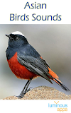 Asian Birds Sounds
