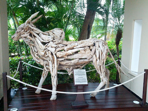 Indonesian Wood Ox