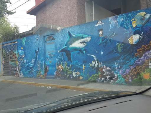 Mural Del Tiburon