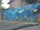 Mural Del Tiburon