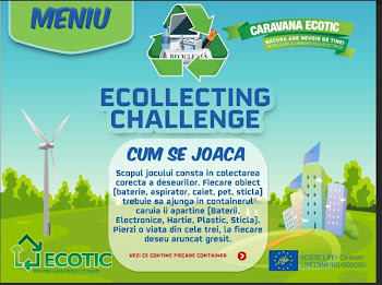 Ecollecting Challenge poster 18