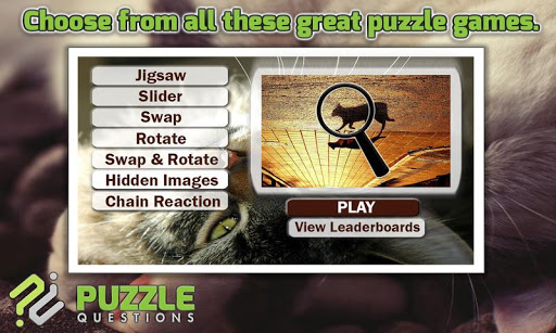 Free Cute Cats Puzzles