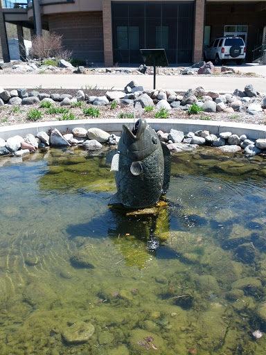 Millennium Gardens Fish Water Fountain