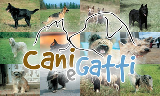 Collections - Cani Gatti