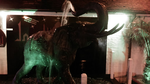 Indian Night Elephant Fountain