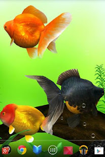 Gold Fish 3D Live Wallpaper(圖5)-速報App