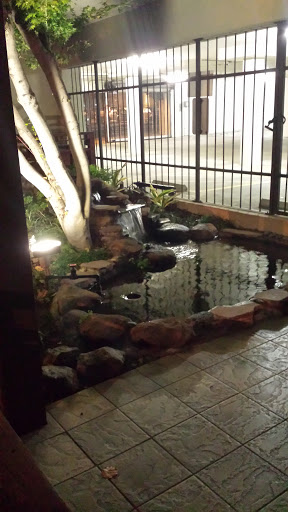 Koi Fountain