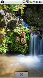 Free Tiger with Cub Sticker APK for Android