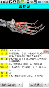 3D解剖学(圖3)-速報App