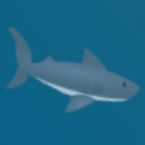 Swimmy Shark 2